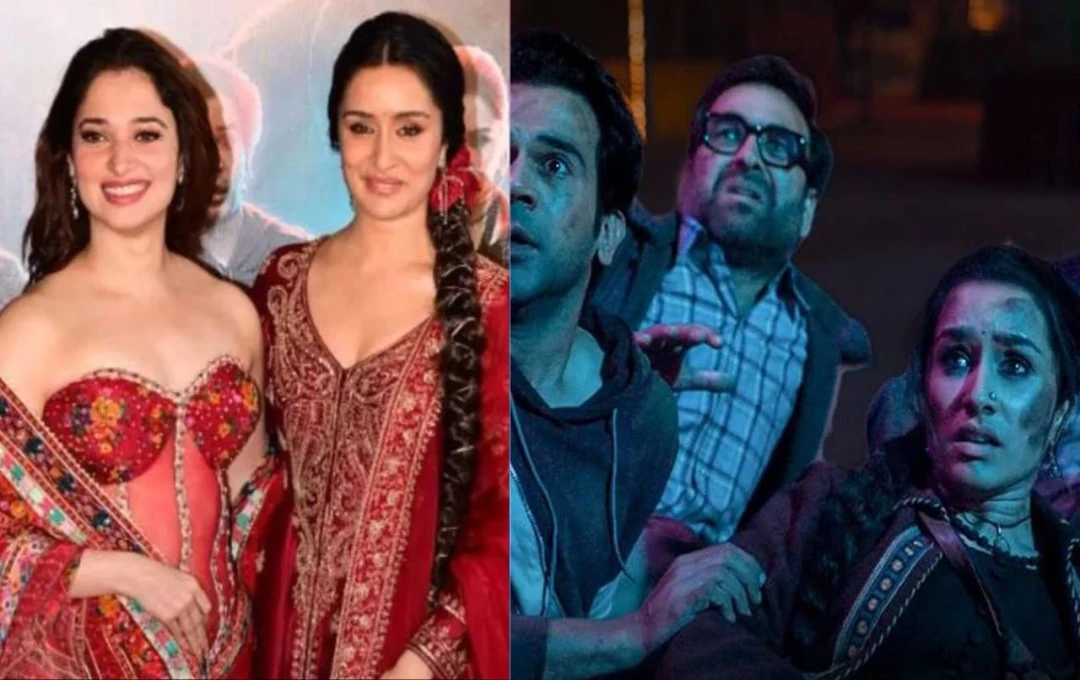 Shraddha Kapoor vs Tamannaah Bhatia Net Worth: जानिए 'स्त्री 2' की दो एक्ट्रेसेस में से कौन है ज्यादा अमीर?