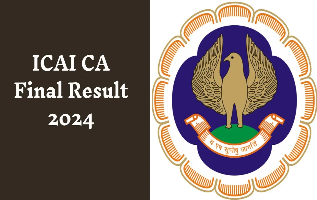 ICAI CA Final Result 2024: सीए फाइनल परीक्षा परिणाम जारी, जानें चेक करने का आसान तरीका और महत्वपूर्ण जानकारी