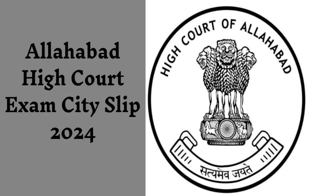 Allahabad High Court Exam City Slip 2024: इलाहाबाद हाई कोर्ट ग्रुप C और D भर्ती परीक्षा के लिए सिटी स्लिप जारी, जानें कैसे डाउनलोड करें