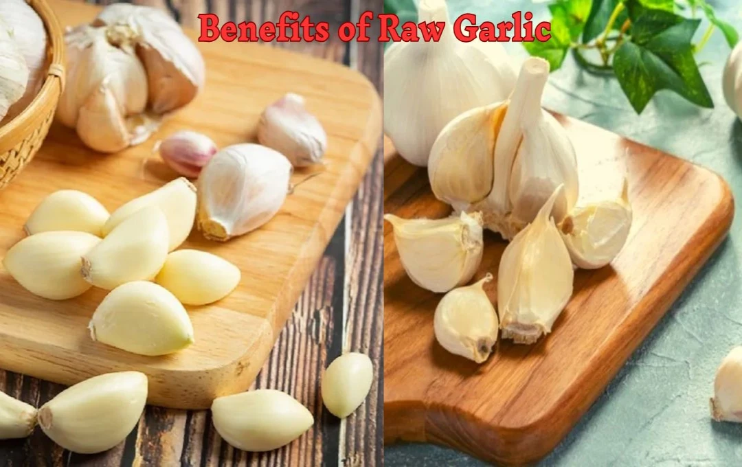 Benefits of Raw Garlic: सुबह खाली पेट कच्चा लहसुन की एक कली खाने से नसों में जमा कोलेस्ट्रॉल पूरी तरह से साफ