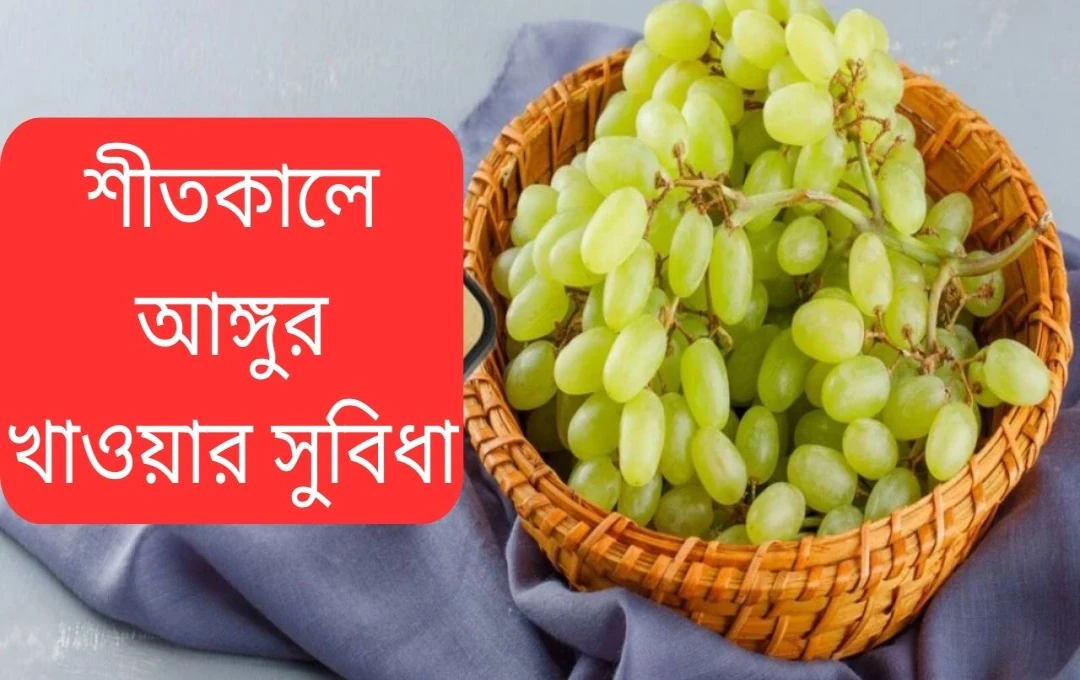 শীতকালে আঙুর খাওয়ার উপকারিতা ও নিয়ম