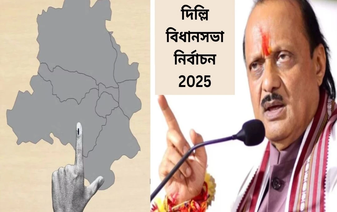 দিল্লি বিধানসভায় ১১ আসনে প্রার্থী দিল অজিত পাওয়ারের দল