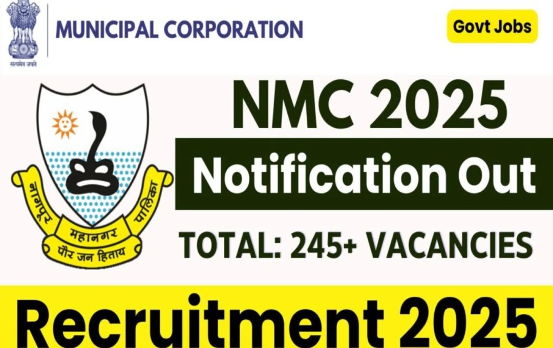 NMC Recruitment 2025: जूनियर इंजीनियर के पदों पर निकली बंपर भर्ती, इच्छुक उम्मीदवार 15 जनवरी तक कर सकते है आवेदन, जानिए सभी डिटेल