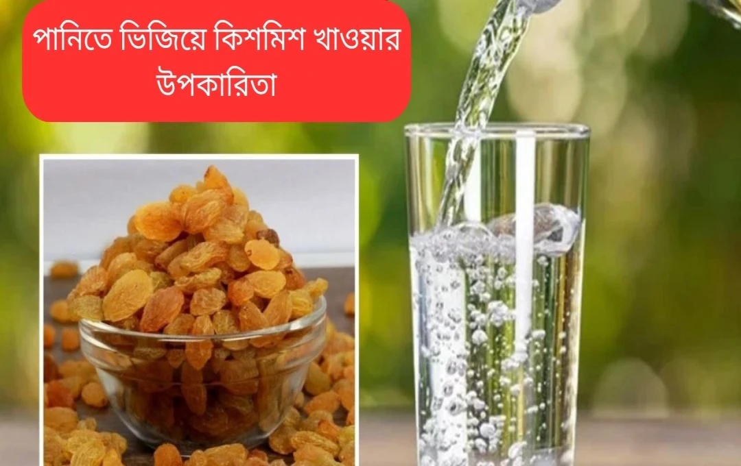 শীতে ভেজানো কিশমিশ: উপকারিতা ও পুষ্টিগুণ