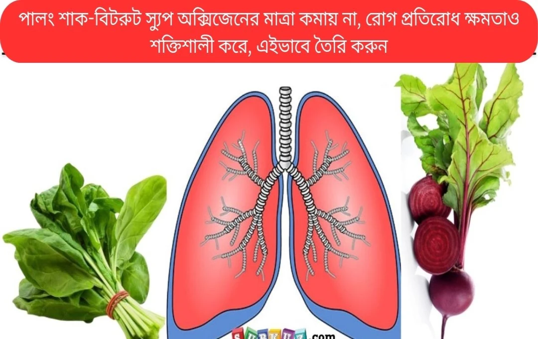 পালং শাক ও বিটমূলের স্যুপ: অক্সিজেন কমে যাওয়া প্রতিরোধ এবং রোগ প্রতিরোধ ক্ষমতা বাড়াতে সহায়ক