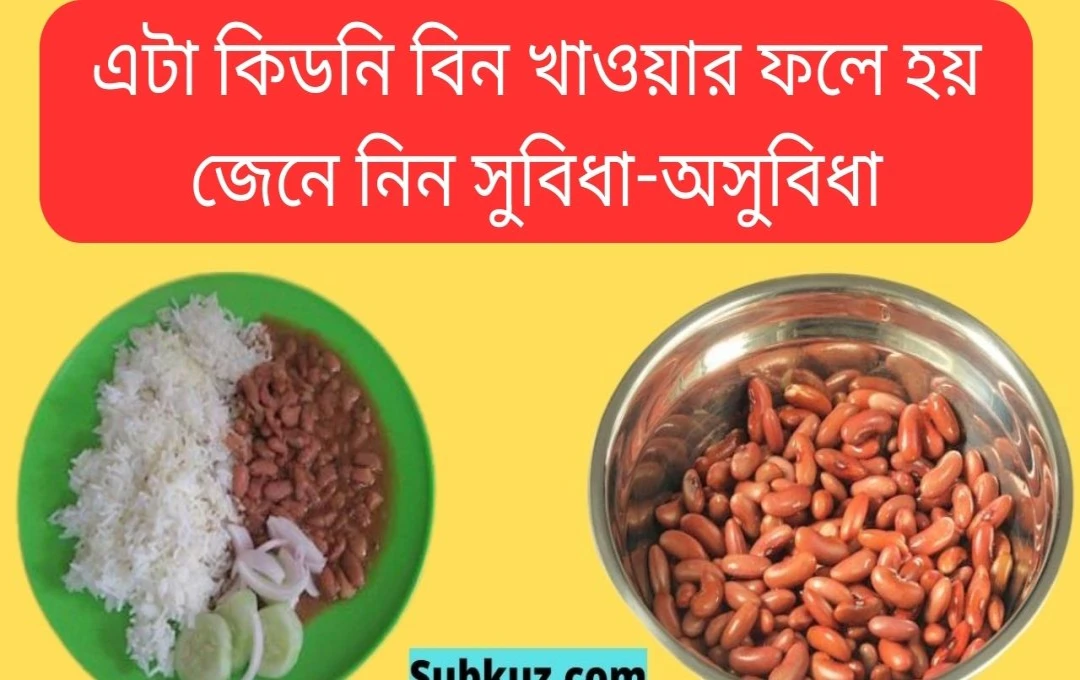 রাজমা খাওয়ার উপকারিতা এবং অপকারিতা
