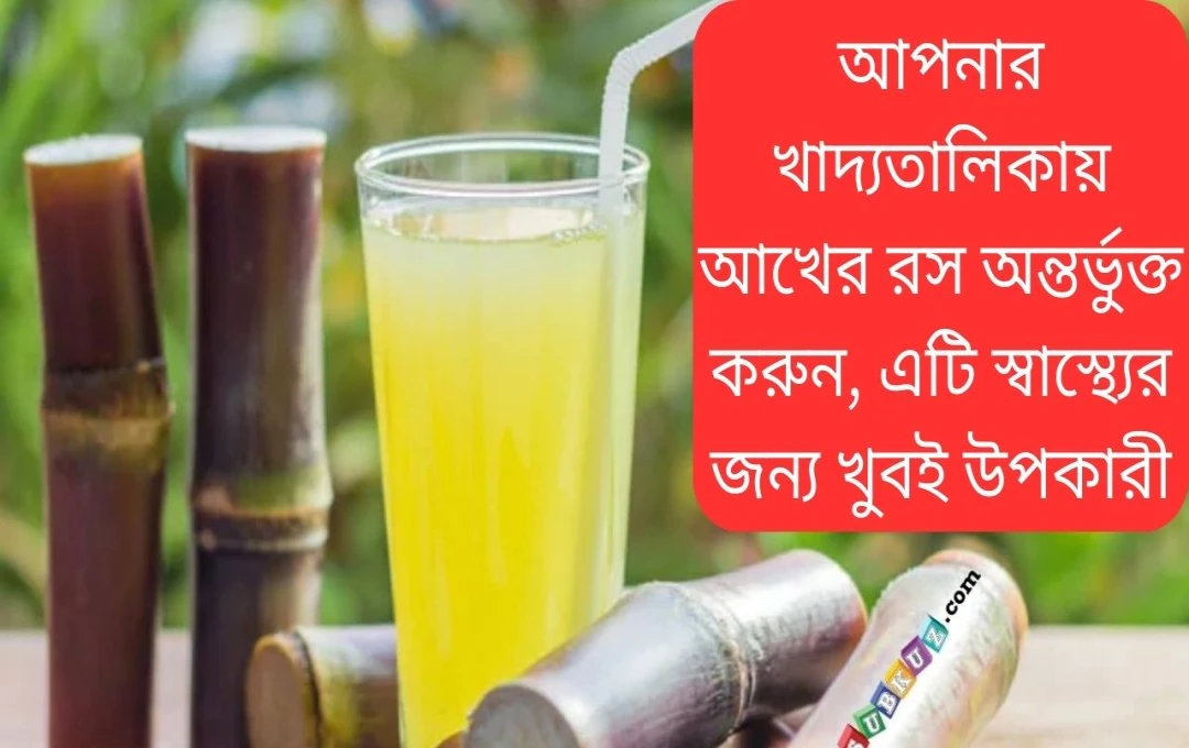 গোগের রস: খাদ্যতালিকায় যোগ করুন, স্বাস্থ্য উপকারিতা জানুন