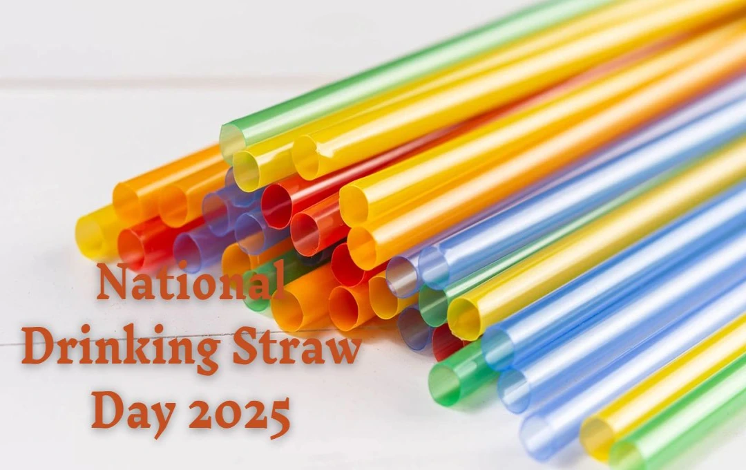 National Drinking Straw Day 2025: पेय पदार्थों में अविष्कार से पर्यावरण तक, स्ट्रॉ का ऐतिहासिक महत्व और प्रभाव