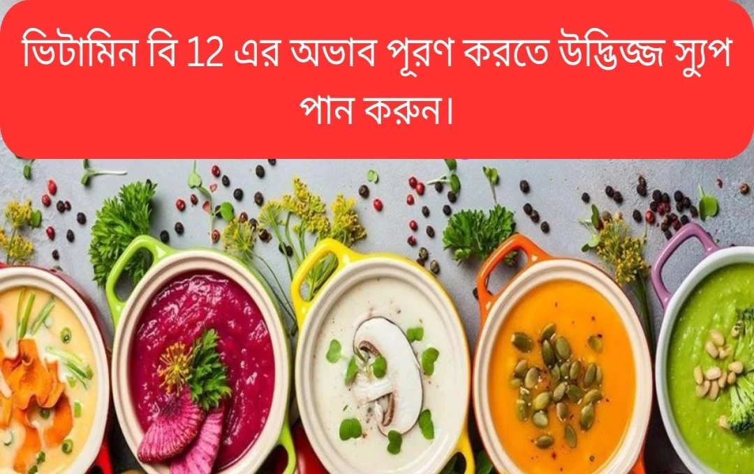 বিটামিন-বি১২: ঘাটতির লক্ষণ, গুরুত্ব এবং সমৃদ্ধ খাবার