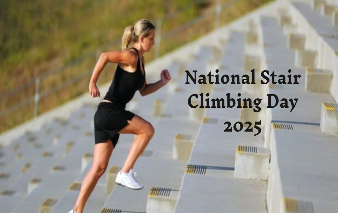 National Stair Climbing Day 2025: सीढ़ियां चढ़ने की ताकत को पहचानें और फिटनेस के साथ स्वस्थ जीवन की ओर कदम बढ़ाएं 