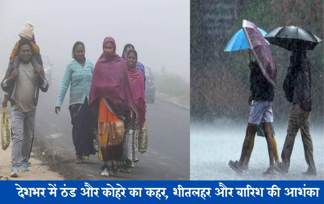 Weather Forecast: देशभर में ठंड और कोहरे का कहर, शीतलहर और बारिश की संभावना, उत्तर भारत में कड़ाके की ठंड