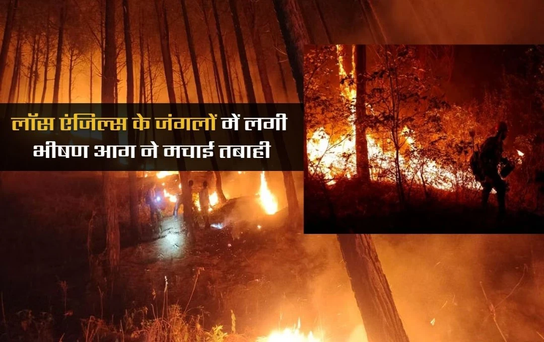 America: लॉस एंजिल्स के जंगल में भीषण आग से मचा हाहाकार, 30 हजार लोगों को सुरक्षित निकालने के लिए आपातकालीन कदम