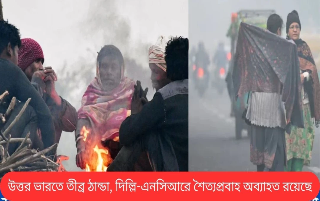 উত্তর ভারতে কঠোর শীতের তীব্রতা বৃদ্ধি, বৃষ্টিপাতের আশঙ্কা