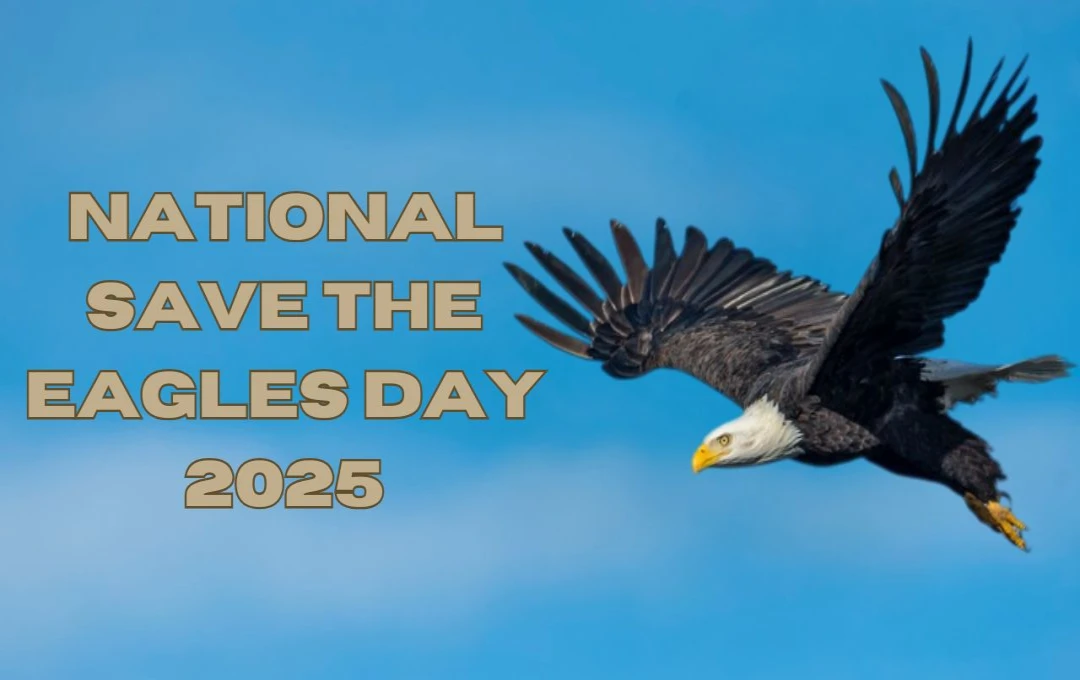 National Save the Eagles Day 2025: चीलों की सुरक्षा के लिए सामूहिक प्रयास जरूरी, राष्ट्रीय ईगल्स बचाओ दिवस पर जागरूकता फैलाएं