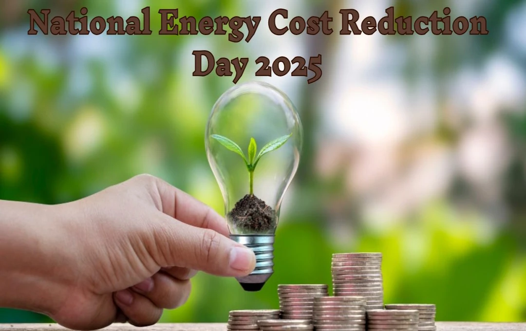 National Energy Cost Reduction Day 2025: ऊर्जा बचाने के सरल उपायों से कैसे करें पर्यावरण और अपनी जेब की रक्षा