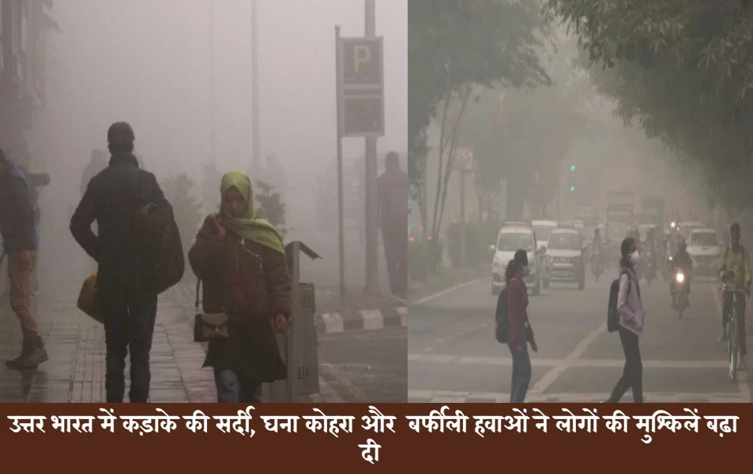 Weather Forecast: उत्तर भारत में कड़ाके की ठंड, कोहरे और बर्फीली हवाओं से परेशान लोग, दिल्ली-एनसीआर से लेकर यूपी-बिहार तक की स्थिति