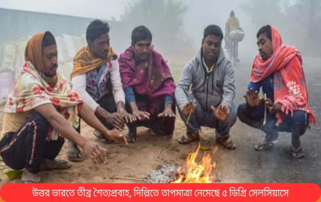 দেশব্যাপী শীতপ্রবাহের প্রভাব: তাপমাত্রা কমে, কুয়াশা এবং বৃষ্টির আশঙ্কা