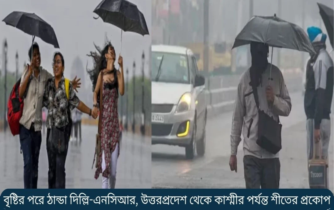 উত্তর ভারতে কঠোর শীতের ধারাবাহিকতা, দিল্লি-এনসিআর-এ সূর্যের আলোর আশা
