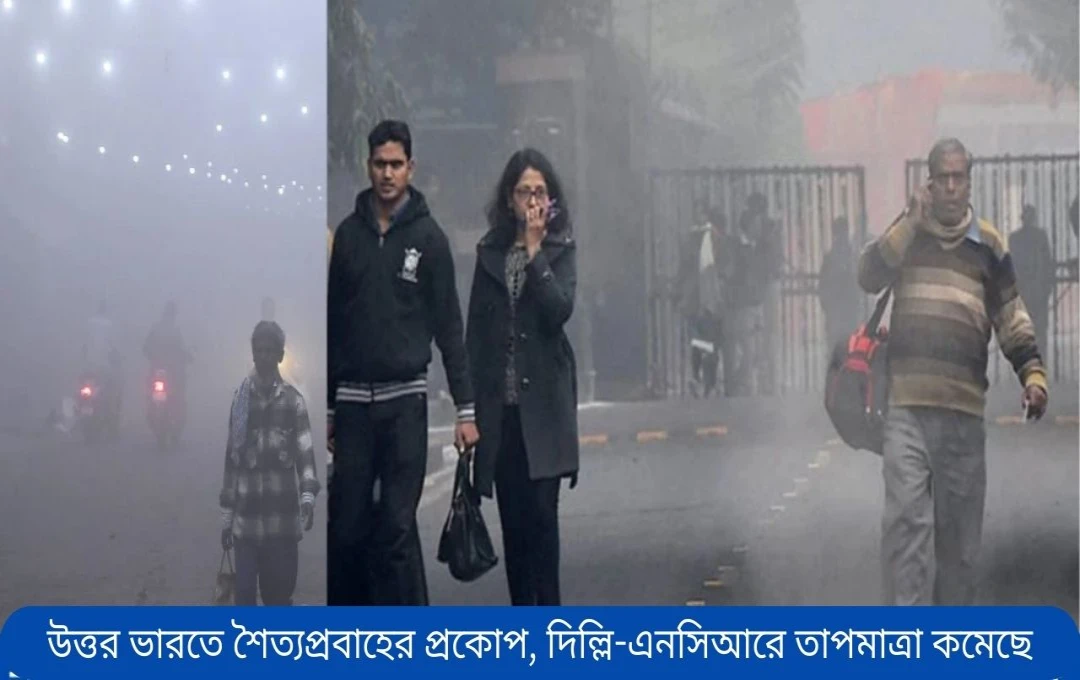 মকরসংক্রান্তিতে উত্তর ভারতে তীব্র শীতের আভাস
