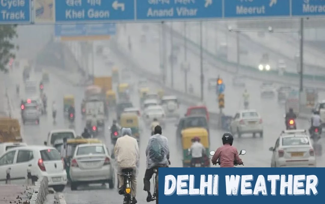 Delhi Weather Update: दिल्ली-NCR में घने कोहरे का कहर! विजिबिलिटी कम, ट्रेनों-उड़ानों पर असर, देखें मौसम का हाल 