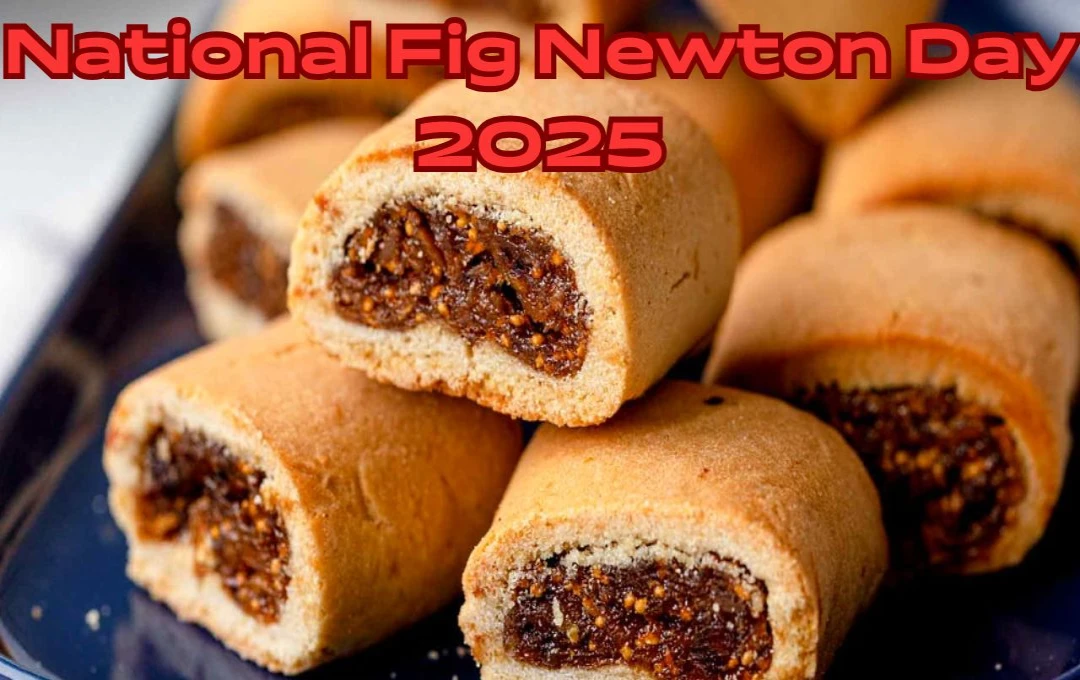 National Fig Newton Day 2025: कला और विज्ञान के अनूठे योगदान का उत्सव, राष्ट्रीय कलाकार न्यूटन दिवस के रूप में कला और विज्ञान का अद्वितीय संगम