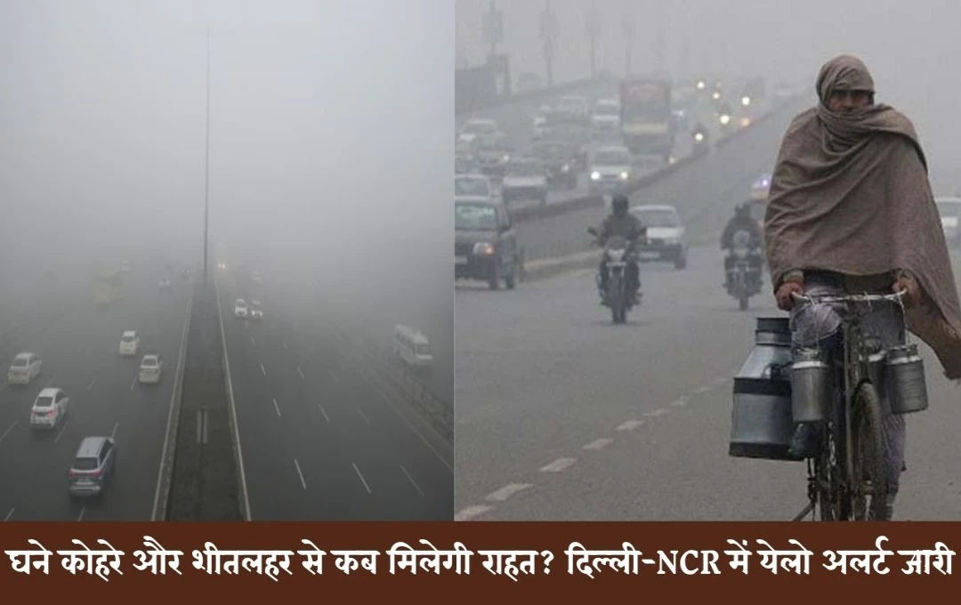 Weather Forecast: घने कोहरे और शीतलहर से कब मिलेगी राहत? दिल्ली-NCR में येलो अलर्ट, जानिए यूपी और राजस्थान के मौसम हाल