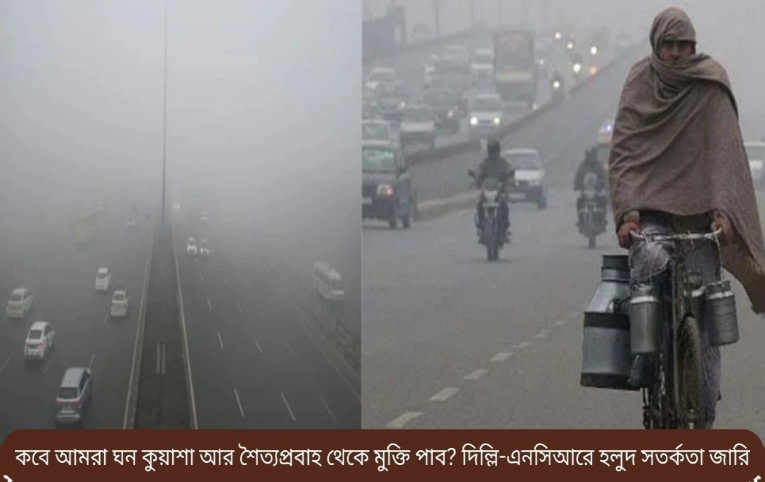 উত্তর ভারতে তীব্র শীত, ঘন কুয়াশা এবং শীতলহরের সতর্কতা