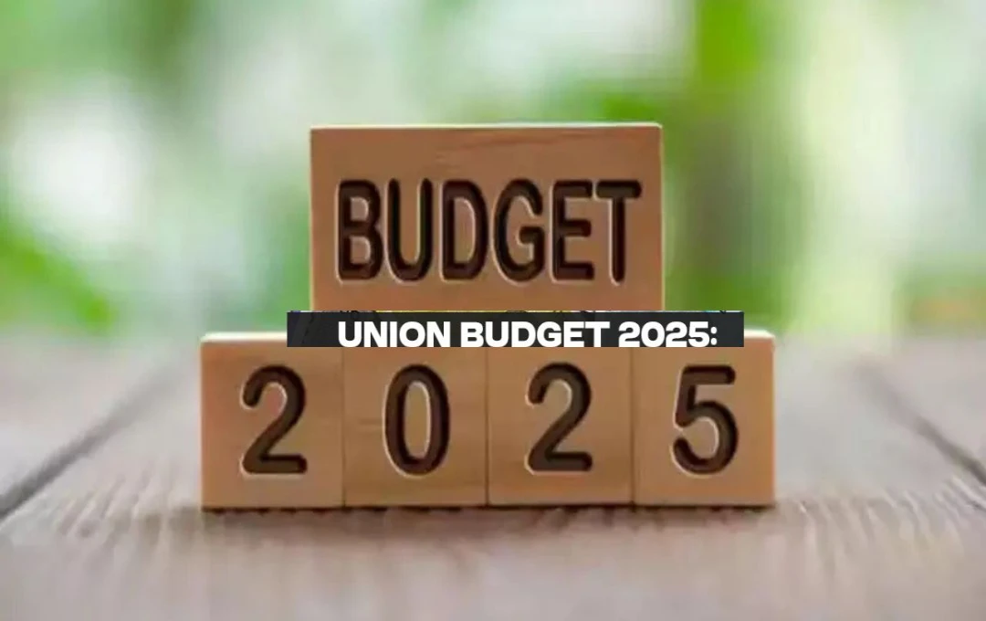 Budget 2025: वाणिज्य मंत्रालय का प्रस्ताव! Budget 2025 में निर्यात को बढ़ावा देने के लिए रोडटेप और आईईएस योजनाओं को बढ़ाने की उठाई मांग