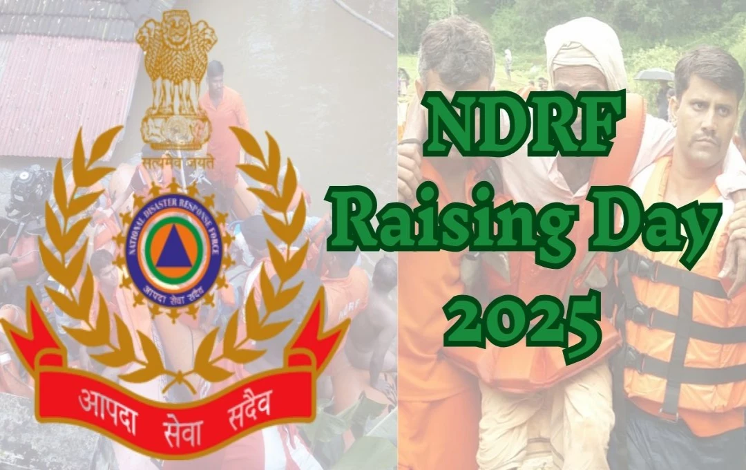 NDRF Raising Day 2025: एनडीआरएफ के बहादुर जवानों का सम्मान, आपदाओं में लचीलापन और समर्पण की अद्वितीय मिसाल