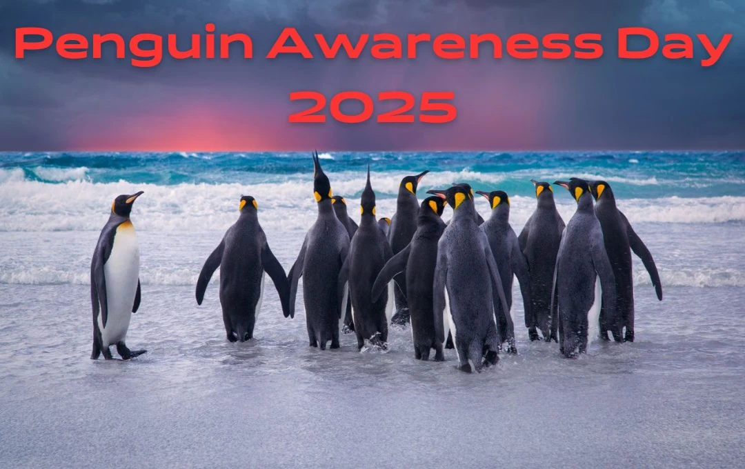 Penguin Awareness Day 2025: विलुप्ति के खतरे में ये अद्भुत पक्षी, प्यारे पेंगुइन को बचाने की पहल, जानें इस दिन का महत्व और विशेषता