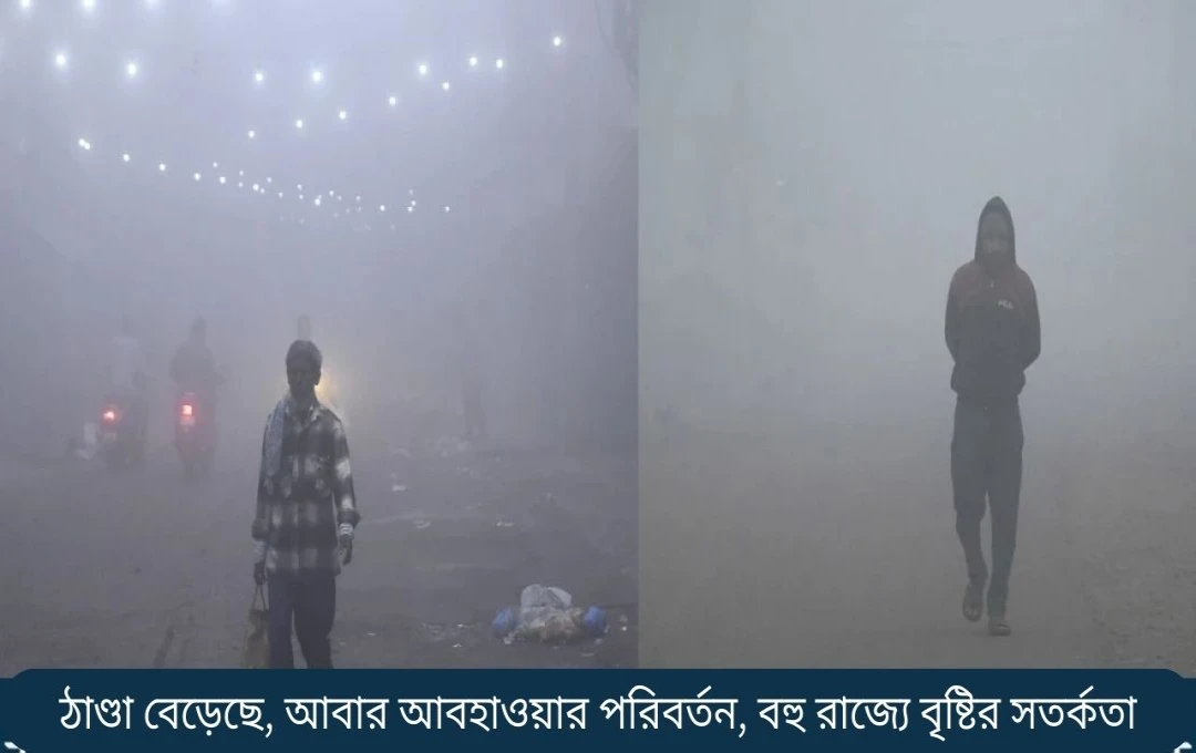 উত্তর ভারতে আবার শীতের আগমন: কুয়াশা, বৃষ্টি ও বরফপাতের পূর্বাভাস