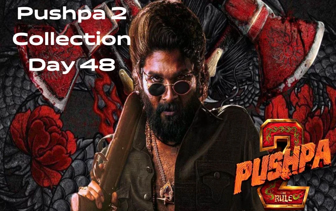 Pushpa 2 Collection Day 48: पुष्पाराज की धमाकेदार वापसी, कमाई ने तोड़ा रिकॉर्ड, 1231 करोड़ के करीब पहुंची कमाई, जानें ताजा आंकड़े