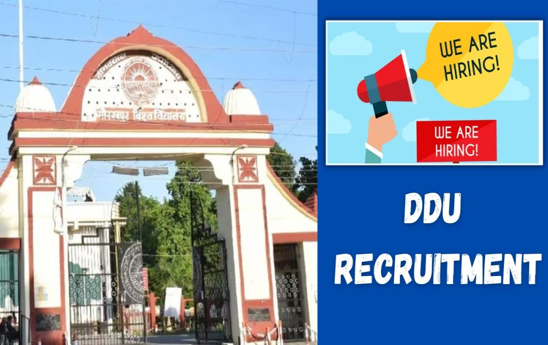 DDU Recruitment: DDU गोरखपुर विश्वविद्यालय में कई पदों पर निकली भर्ती, आवेदन की आखिरी तारीख 28 फरवरी