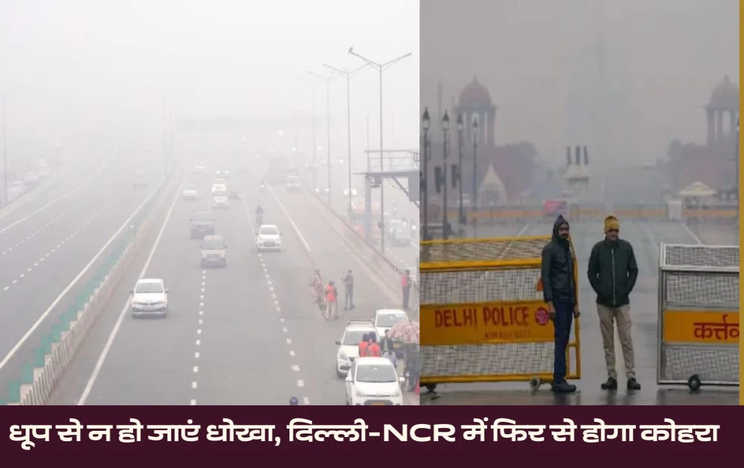 Weather Forecast: धूप से न हो जाएं धोखा, दिल्ली-NCR में फिर होगा कोहरा, जानिए अगले कुछ दिनों का मौसम हाल