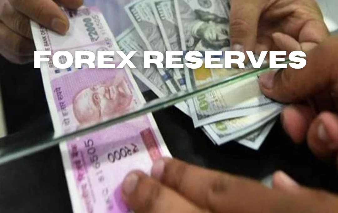 Forex Reserves: रुपये की गिरावट से विदेशी मुद्रा भंडार में कमी, 11 महीने के निचले स्तर पर पहुंचा