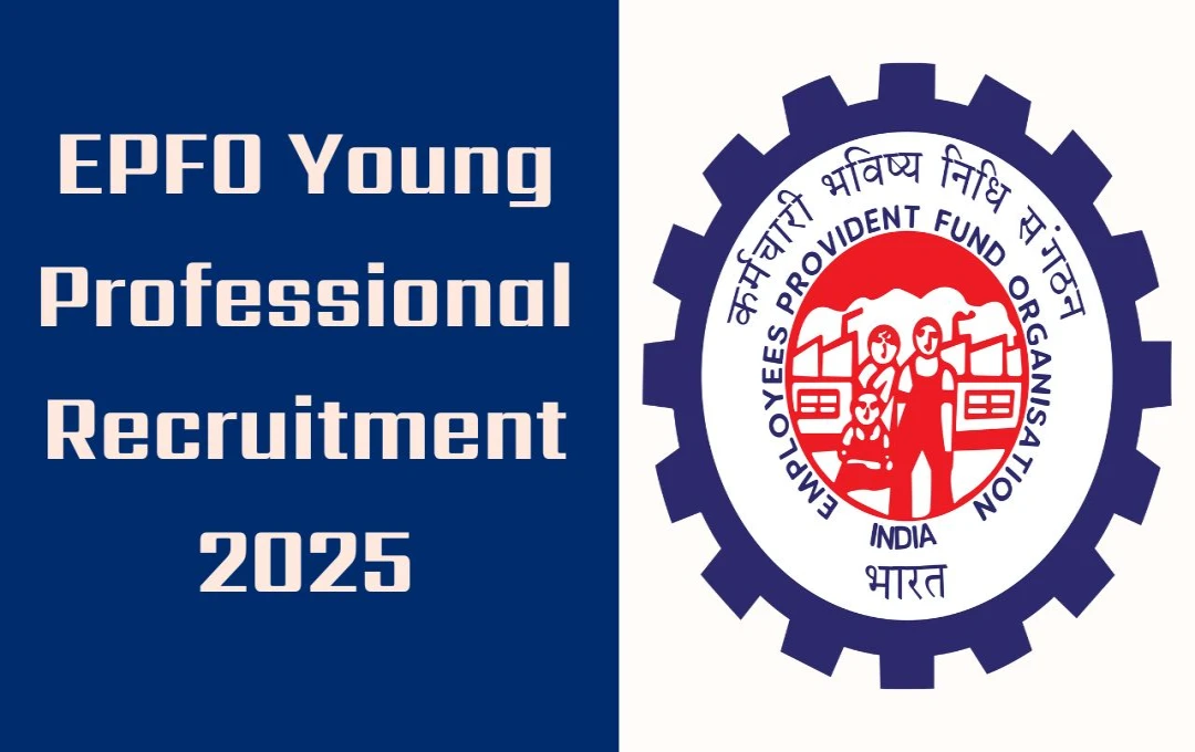 EPFO Young Professional Recruitment 2025: ईपीएफओ ने युवा प्रोफेशनल (कानून) के पद पर निकाली वैकेंसी, जानें आवेदन कैसे करें