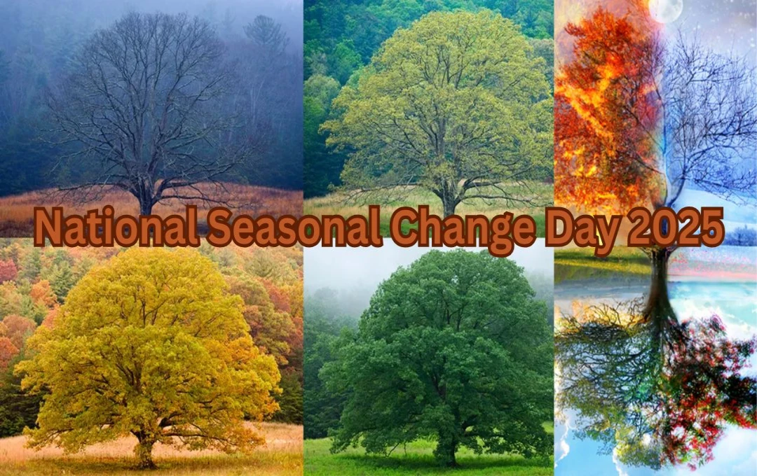 National Seasonal Change Day 2025: पृथ्वी के परिक्रमा और अक्षीय झुकाव से मौसम में बदलाव का महत्व, प्रकृति के अद्भुत चक्र को समझने का अवसर