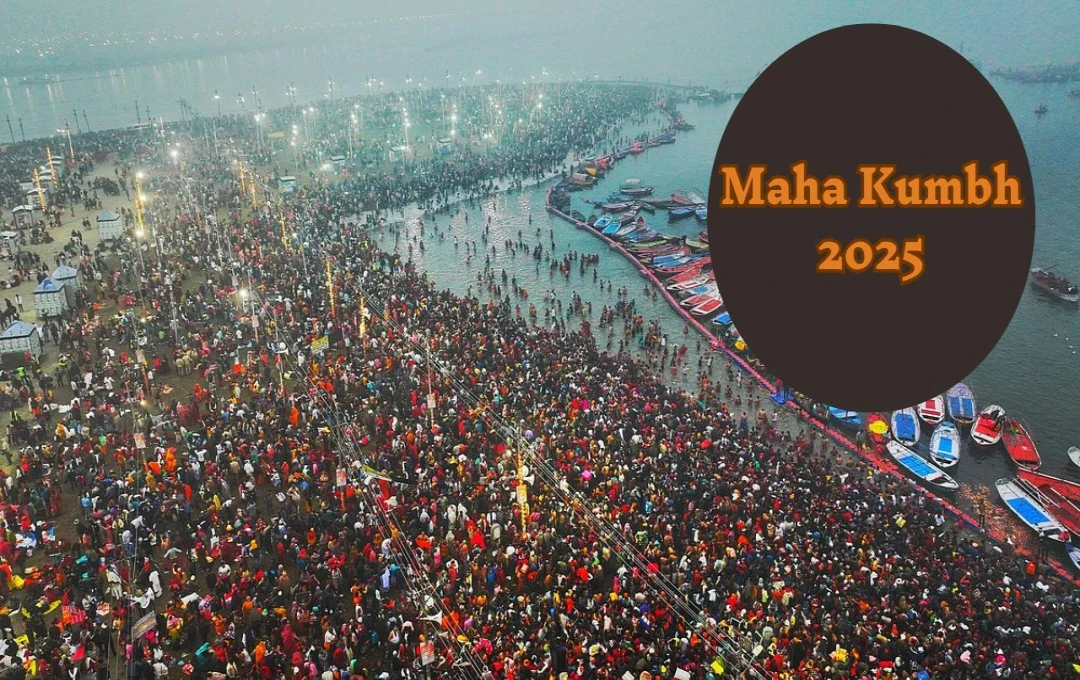 Maha Kumbh: प्रयागराज महाकुंभ भगदड़, कांग्रेस सांसद का गंभीर आरोप, असली संख्या छिपाई जा रही, जेपीसी जांच की मांग