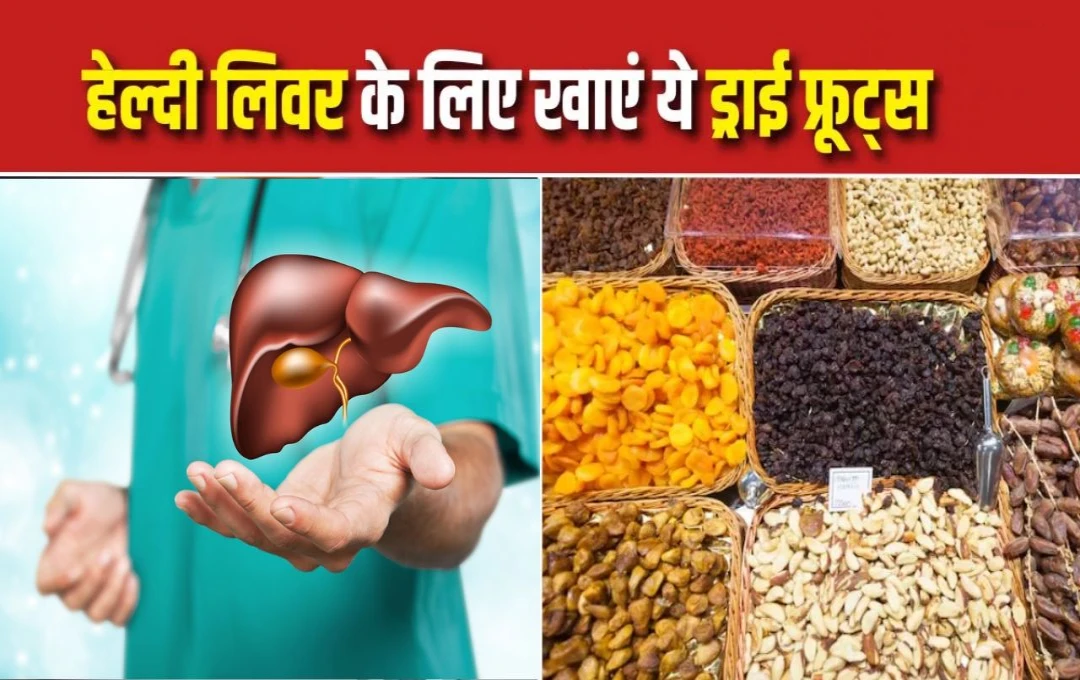 Liver Health Tips: लिवर को बीमारियों से बचाने और हेल्दी रखने के लिए डाइट में शामिल करें ये 5 ड्राई फ्रूट्स, जानिए इन ड्राई फ्रूट्स के बारे में 