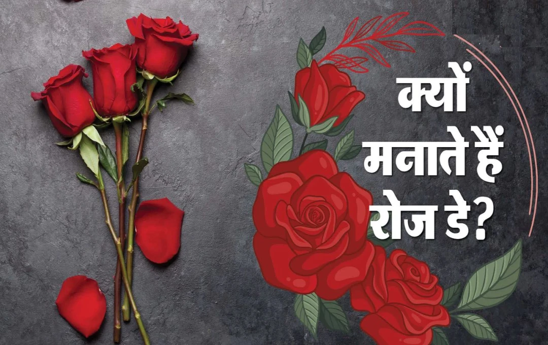 Valentine's Day 2025: क्वीन विक्टोरिया से कैसे जुड़ा है Rose Day का कनेक्शन? जानिए इसके पीछे की बेहद खूबसूरत कहानी