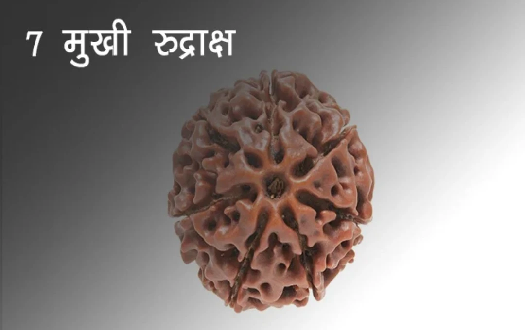 Rudraksha: सात मुखी रुद्राक्ष पहनने से क्या होता हैं फायदा? जानिए किन लोगों के लिए होता है यह शुभ और लाभदायक 