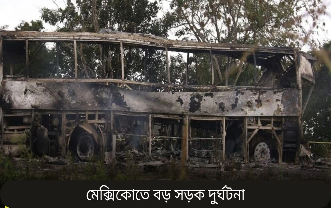 মেক্সিকো বাস দুর্ঘটনায় ৪১ জন নিহত