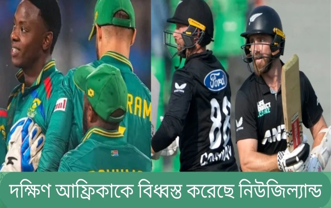 নিউজিল্যান্ডের ট্রাই সিরিজে দক্ষিণ আফ্রিকাকে ৬ উইকেটে পরাজয়