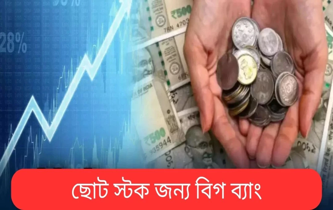 বিপুল লিমিটেডের শেয়ারে ৫% ঊর্ধ্বমুখী, FII-দের অংশগ্রহণ বৃদ্ধি