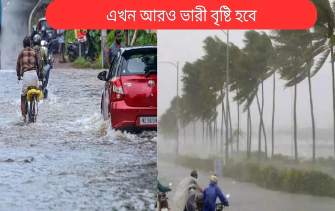 ভারতে বৃষ্টিপাতের পূর্বাভাস: কয়েকটি রাজ্যে ভারী বৃষ্টির সম্ভাবনা