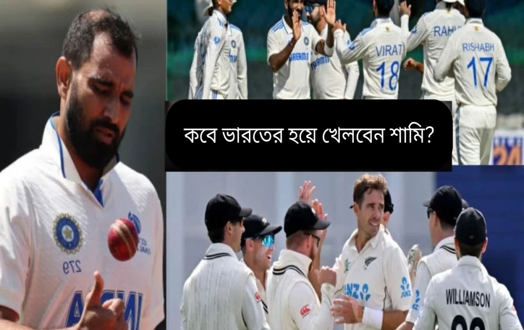 নিউজিল্যান্ড সিরিজ থেকে বাদ পড়লেন মোহাম্মদ শামি