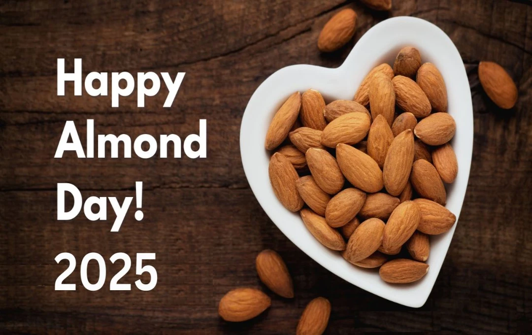 National Almond Day 2025: आज मनाया जा रहा है बादाम दिवस, जानिए अच्छी सेहत के लिए इस ड्राईफ्रूट को हर दिन खाना क्यों है ज़रूरी?