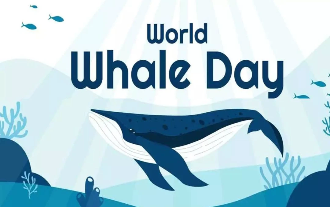 World Whale Day 2025: कब और क्यों मनाया है विश्व व्हेल दिवस? जानिए इस दिन का इतिहास, महत्व और मनाने का तरीका 