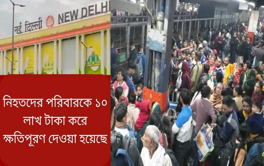 নতুন দিল্লি রেলস্টেশনে ভয়াবহ দুর্ঘটনা: ১৮ জন নিহত