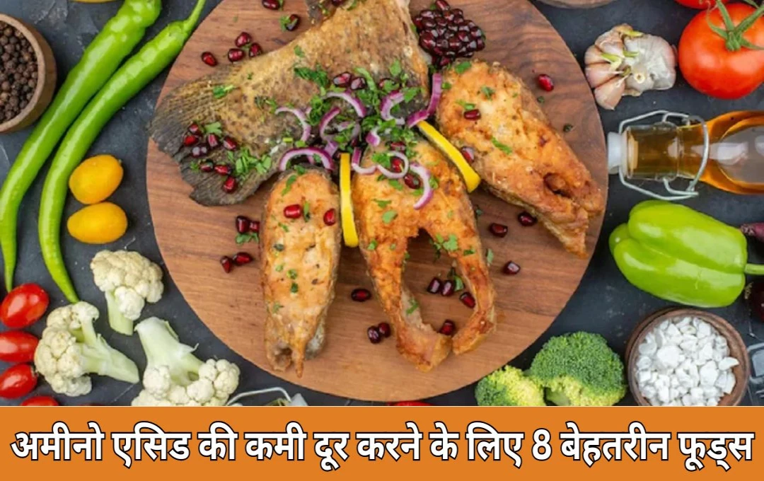 Amino Acids Benefits: दिमाग, हड्डियों, त्वचा और पाचन तंत्र के सही तरीके से काम करने के लिए जरूरी है अमीनो एसिड, इसकी कमी को दूर करने की  8 चीजें